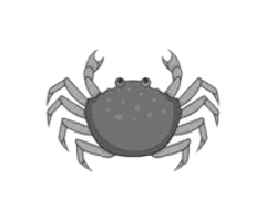 crab-001